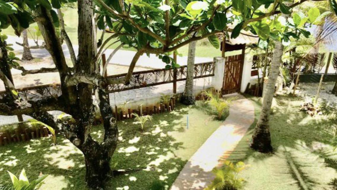 Paradise Beach House Imbassai Exteriér fotografie